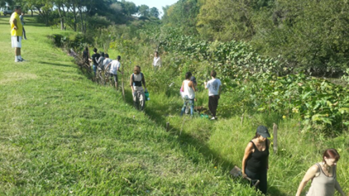 Vecinos de la zona participaron de la plantacin de los 200 boles